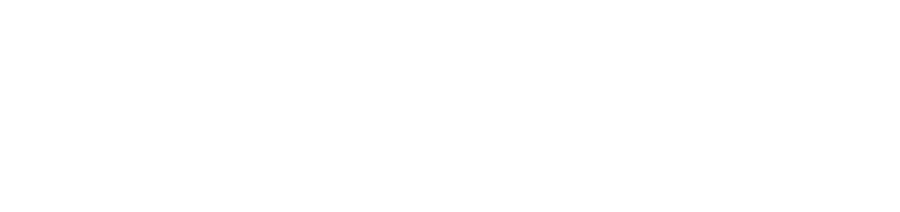 Accurate Franchising logo